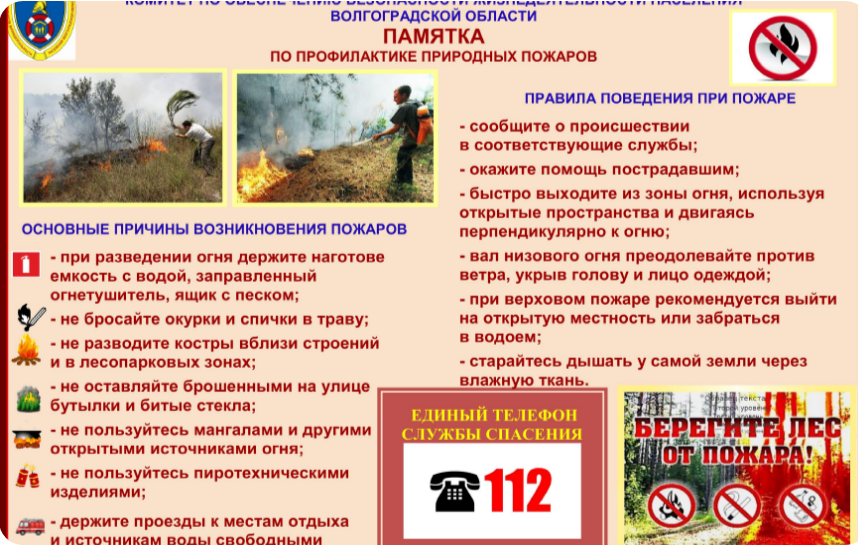 Пожарная безопасность в лесу (природные пожары).